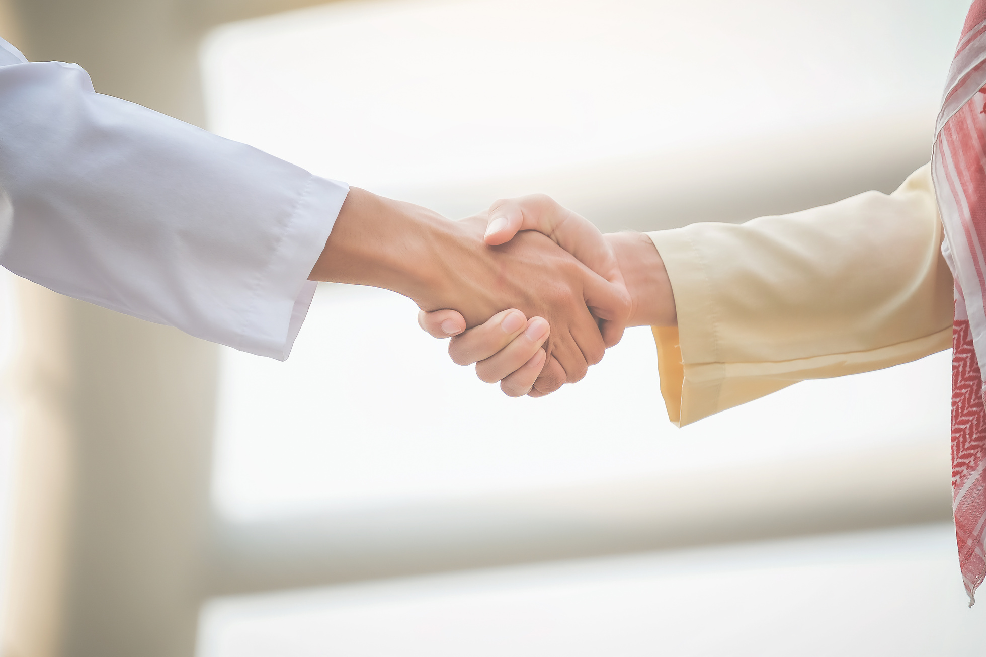 Partner Shake Hands